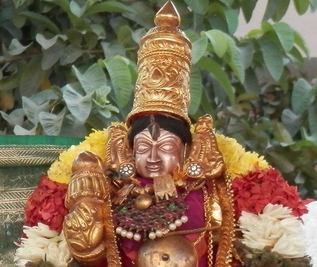 Sriperumpudur Sri Srinivasa Perumal Temple Jaya varusha Thai Masi Kalyanotsavam 2015 -14