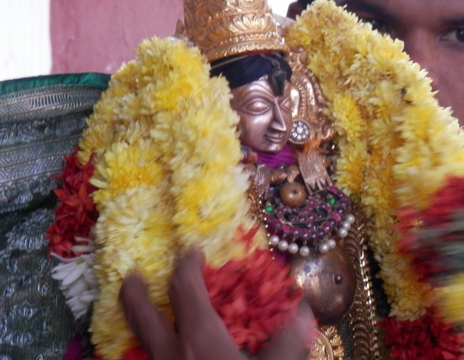 Sriperumpudur Sri Srinivasa Perumal Temple Jaya varusha Thai Masi Kalyanotsavam 2015 -15