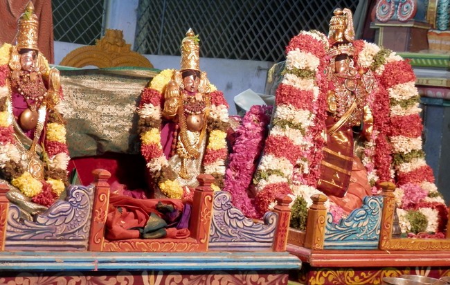 Sriperumpudur Sri Srinivasa Perumal Temple Jaya varusha Thai Masi Kalyanotsavam 2015 -21