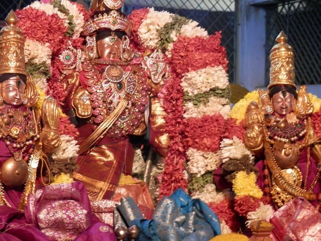 Sriperumpudur Sri Srinivasa Perumal Temple Jaya varusha Thai Masi Kalyanotsavam 2015 -30