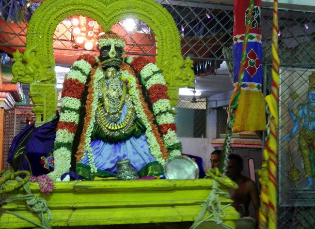 Sriperumpudur Srinivasa perumal temple Thayar Thai velli Purappadu-2015-02