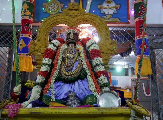 Sriperumpudur Srinivasa perumal temple Thayar Thai velli Purappadu-2015-04