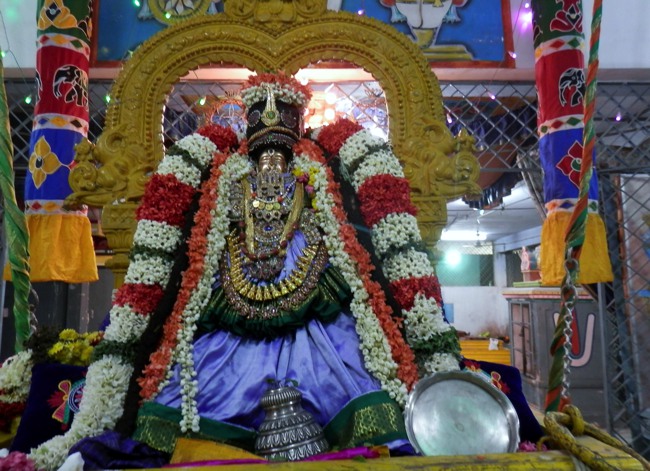 Sriperumpudur Srinivasa perumal temple Thayar Thai velli Purappadu-2015-05