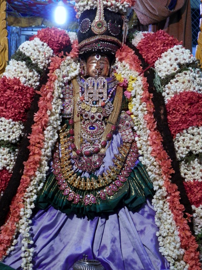 Sriperumpudur Srinivasa perumal temple Thayar Thai velli Purappadu-2015-09