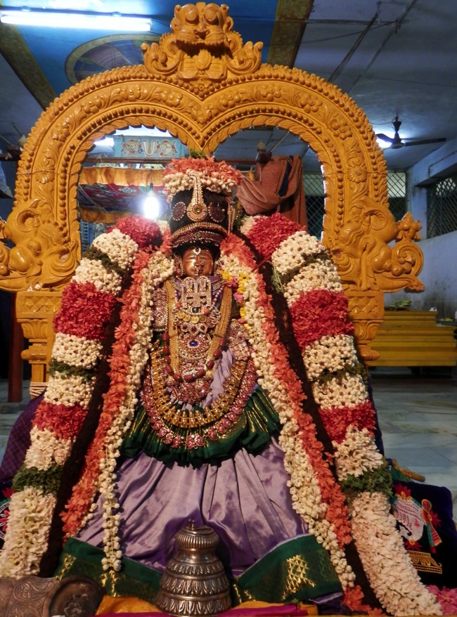 Sriperumpudur Srinivasa perumal temple Thayar Thai velli Purappadu-2015-10