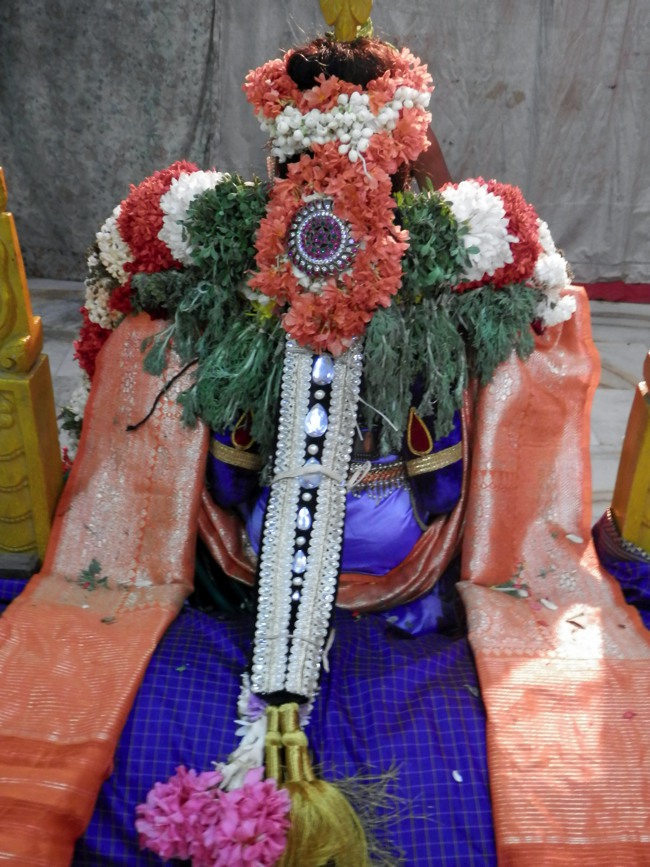 Sriperumpudur Srinivasa perumal temple Thayar Thai velli Purappadu-2015-12