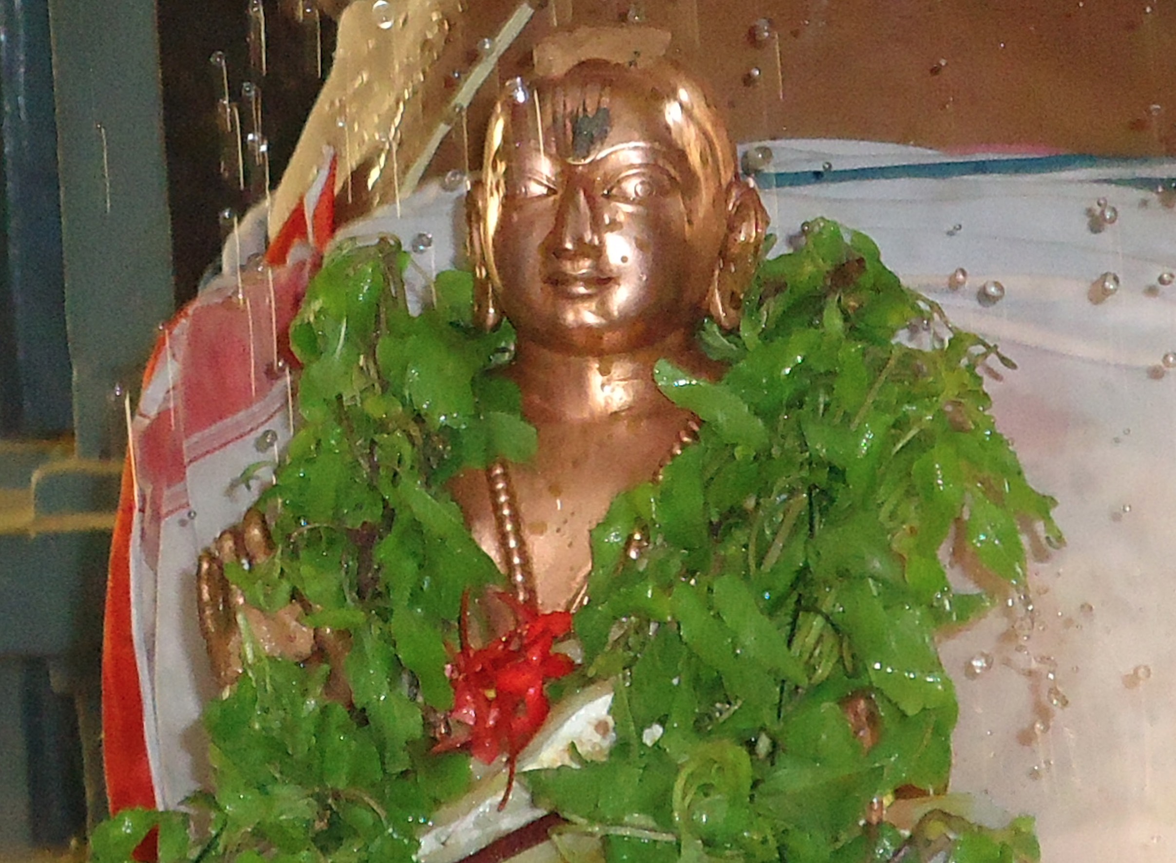 Srirangam Andavan Ashram Swami Desikan Thai maasa Thirunakshatra Utsavam