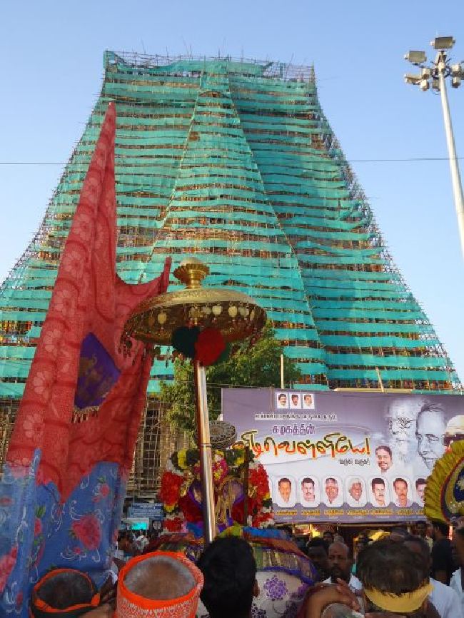 Srirangam Masi Theppotsaavam Sri Namperumal Purapppadu to Yanai vahana Mandapam  2015 -07