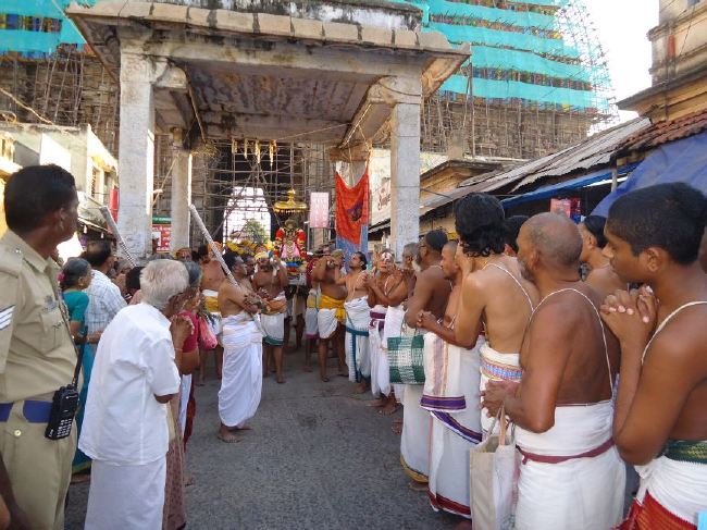 Srirangam Masi Theppotsaavam Sri Namperumal Purapppadu to Yanai vahana Mandapam  2015 -11
