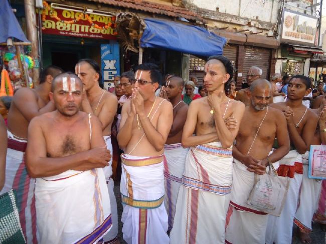 Srirangam Masi Theppotsaavam Sri Namperumal Purapppadu to Yanai vahana Mandapam  2015 -15