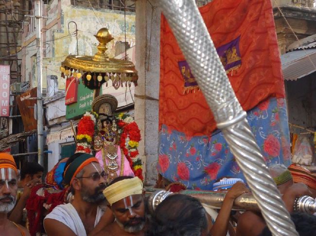 Srirangam Masi Theppotsaavam Sri Namperumal Purapppadu to Yanai vahana Mandapam  2015 -16