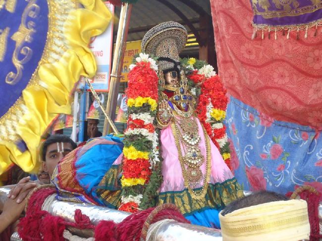 Srirangam Masi Theppotsaavam Sri Namperumal Purapppadu to Yanai vahana Mandapam  2015 -25