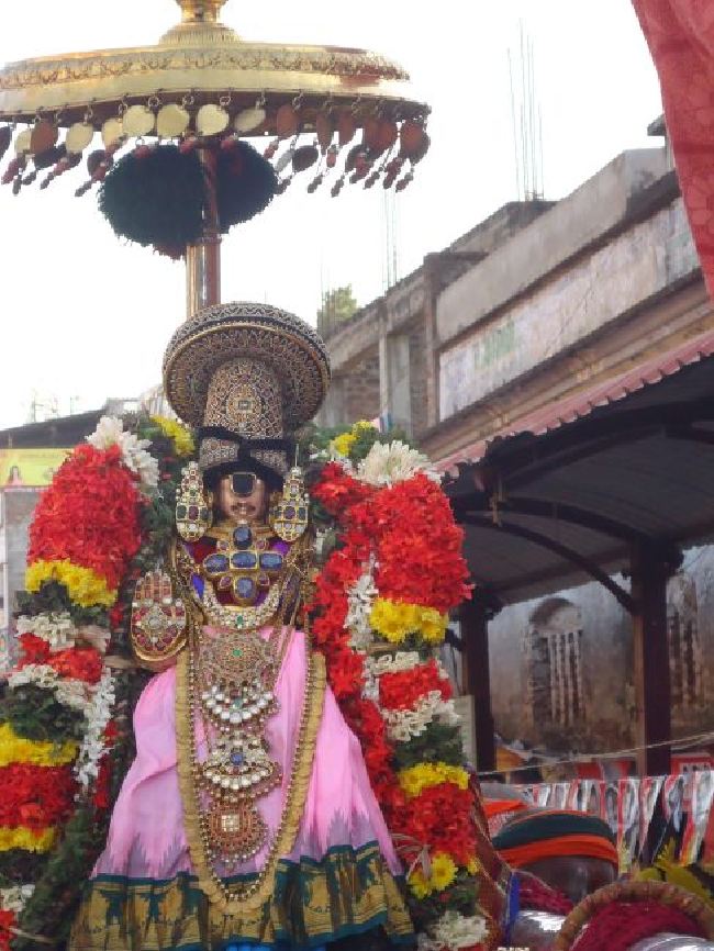 Srirangam Masi Theppotsaavam Sri Namperumal Purapppadu to Yanai vahana Mandapam  2015 -27