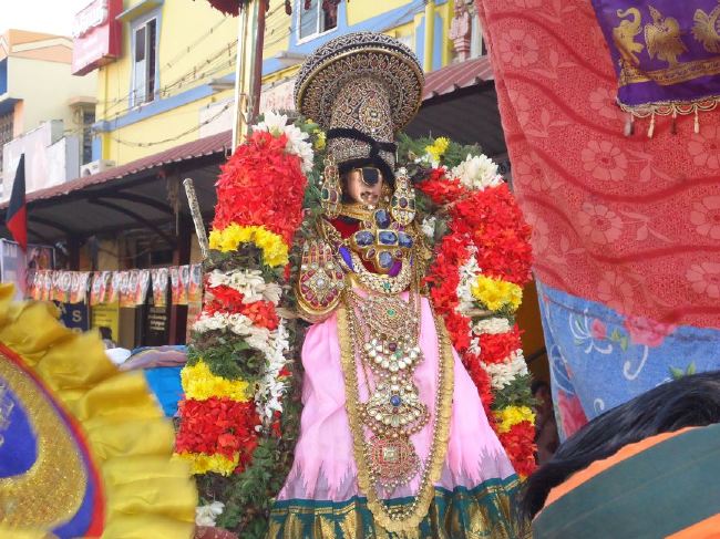 Srirangam Masi Theppotsaavam Sri Namperumal Purapppadu to Yanai vahana Mandapam  2015 -29