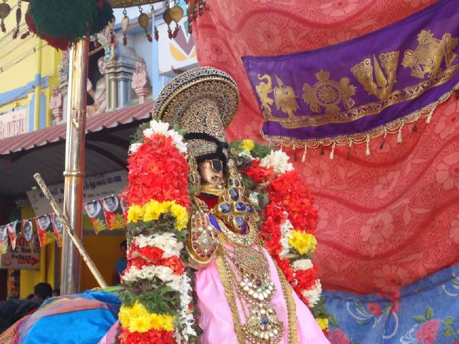 Srirangam Masi Theppotsaavam Sri Namperumal Purapppadu to Yanai vahana Mandapam  2015 -30