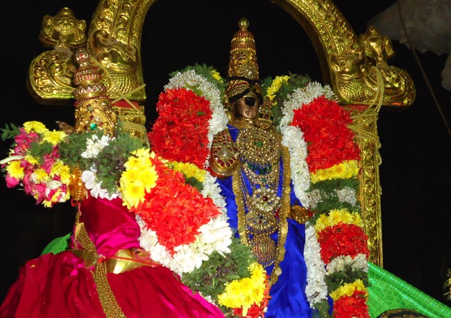 Srirangam Ranganathaswami Temple  Masi Theppotsavam Nel Alavai  -2015-02