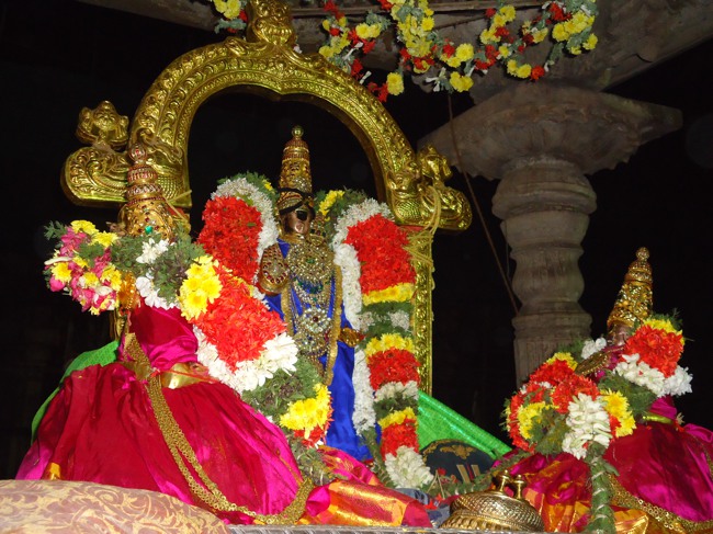 Srirangam Ranganathaswami Temple  Masi Theppotsavam Nel Alavai  -2015-03