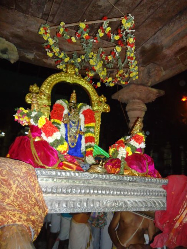 Srirangam Ranganathaswami Temple  Masi Theppotsavam Nel Alavai  -2015-05