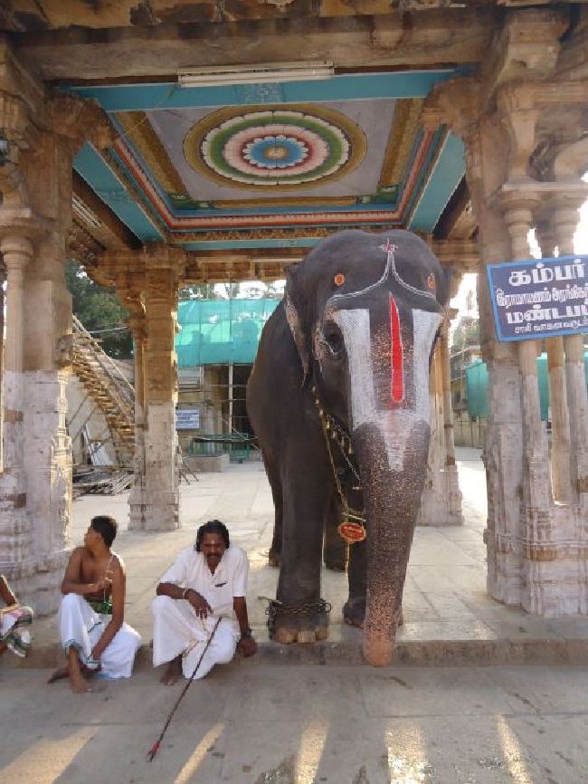 Srirangam Ranganathaswami Temple Thirukachi Nambi Thirunakshatra Purappadu  2015 -01