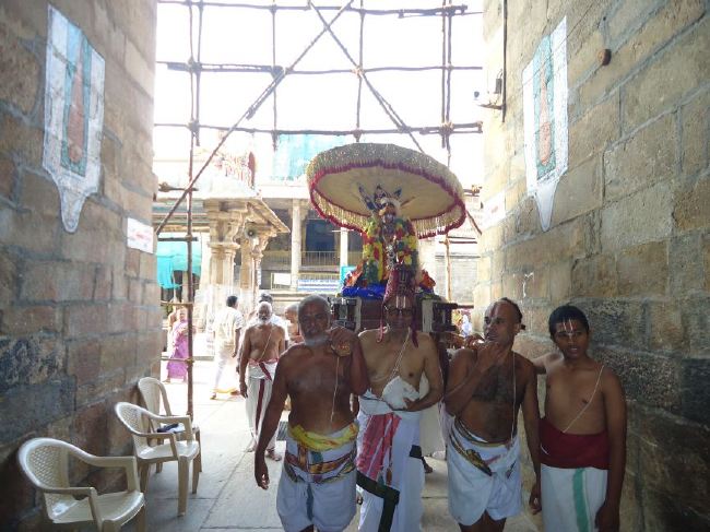 Srirangam Ranganathaswami Temple Thirukachi Nambi Thirunakshatra Purappadu  2015 -05