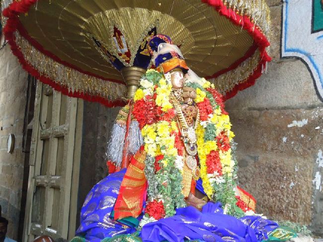Srirangam Ranganathaswami Temple Thirukachi Nambi Thirunakshatra Purappadu  2015 -07