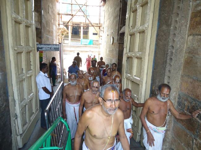 Srirangam Ranganathaswami Temple Thirukachi Nambi Thirunakshatra Purappadu  2015 -08