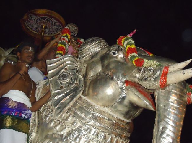 Srirangam Ranganathaswami Temple masi Theppotsavam Gaja Vahana purappadu   2015 -02