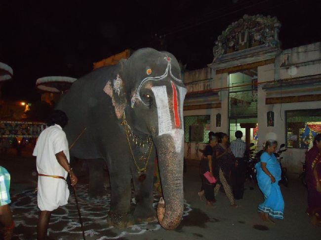 Srirangam Ranganathaswami Temple masi Theppotsavam Gaja Vahana purappadu   2015 -11