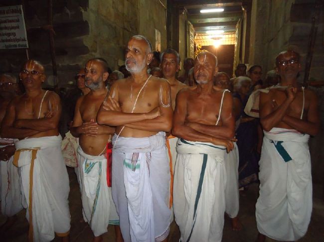 Srirangam Ranganathaswami Temple masi Theppotsavam Gaja Vahana purappadu   2015 -12