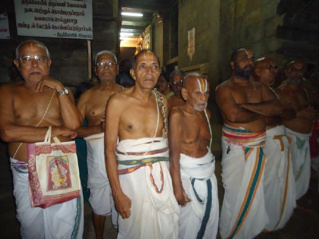 Srirangam Ranganathaswami Temple masi Theppotsavam Gaja Vahana purappadu   2015 -13