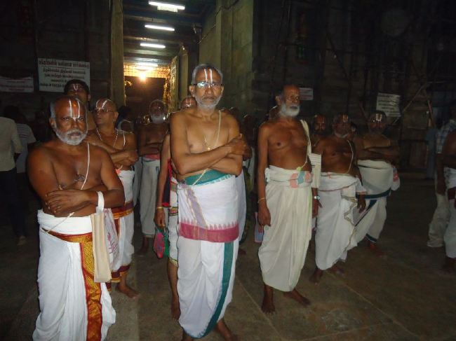 Srirangam Ranganathaswami Temple masi Theppotsavam Gaja Vahana purappadu   2015 -14