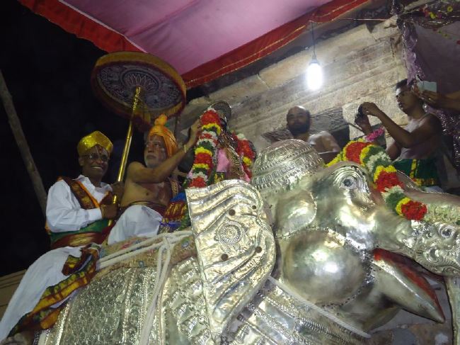 Srirangam Ranganathaswami Temple masi Theppotsavam Gaja Vahana purappadu   2015 -18