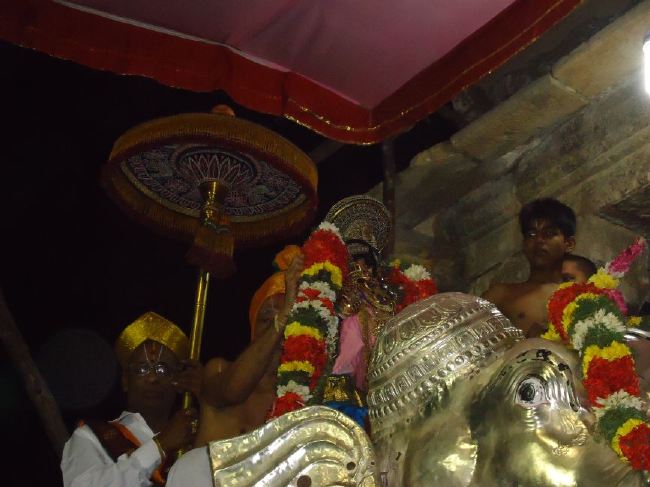 Srirangam Ranganathaswami Temple masi Theppotsavam Gaja Vahana purappadu   2015 -21