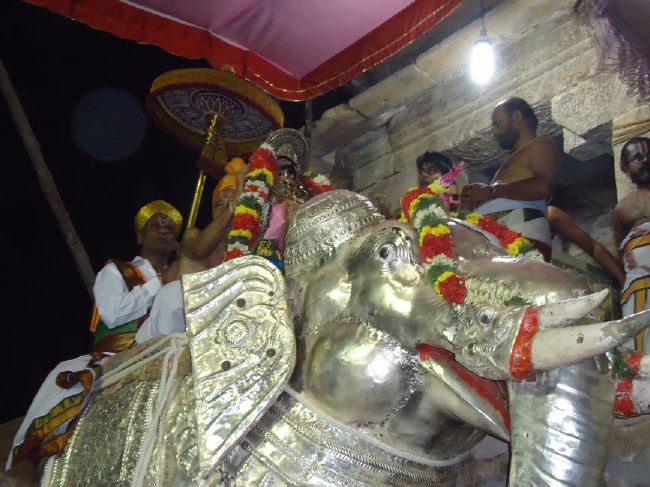 Srirangam Ranganathaswami Temple masi Theppotsavam Gaja Vahana purappadu   2015 -22