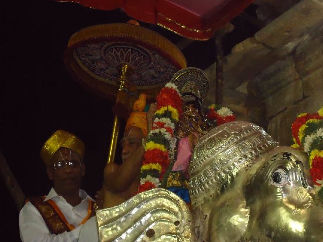 Srirangam Ranganathaswami Temple masi Theppotsavam Gaja Vahana purappadu   2015 -23