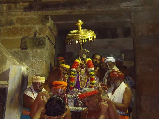 Srirangam Ranganathaswami Temple masi Theppotsavam Gaja Vahana purappadu   2015 -27