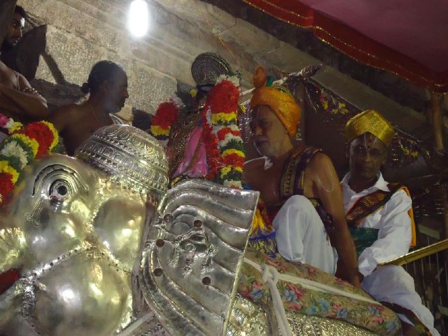 Srirangam Ranganathaswami Temple masi Theppotsavam Gaja Vahana purappadu   2015 -35