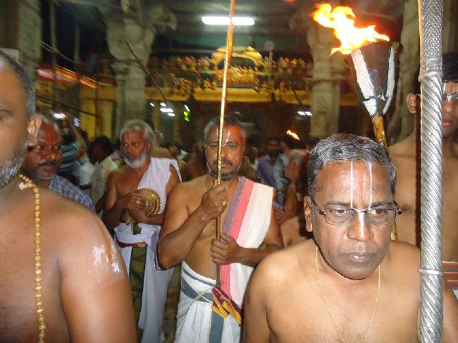 Srirangam Ranganathaswami Temple masi Theppotsavam Gaja Vahana purappadu   2015 -36
