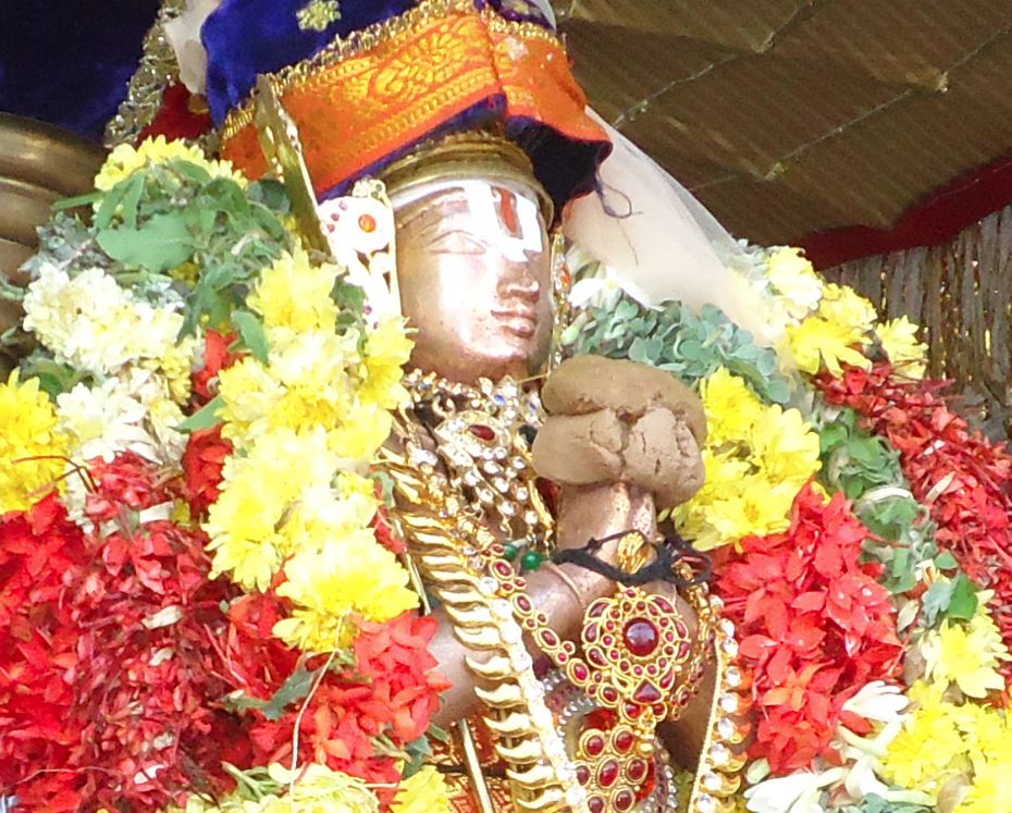 Srirangam THirukkachi Nambi thirunakshatra utsavam 2015