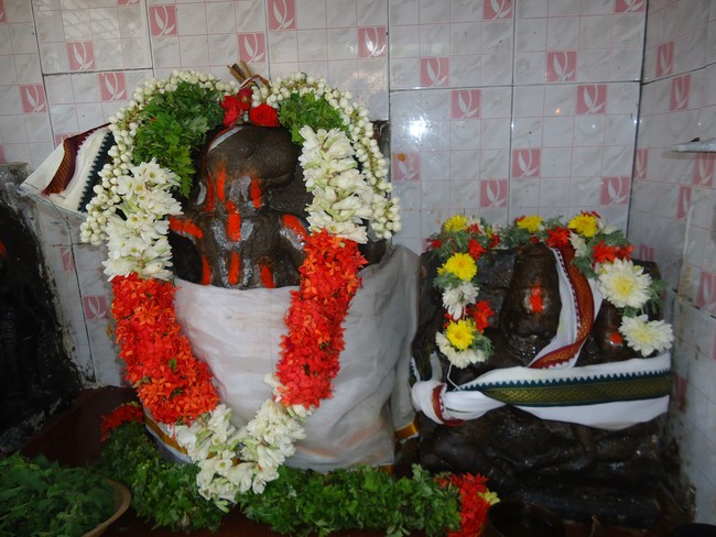 Srirangam THiruvadi Kovil Anjaneyar Pradhishtapana Dhinam 2015 -15