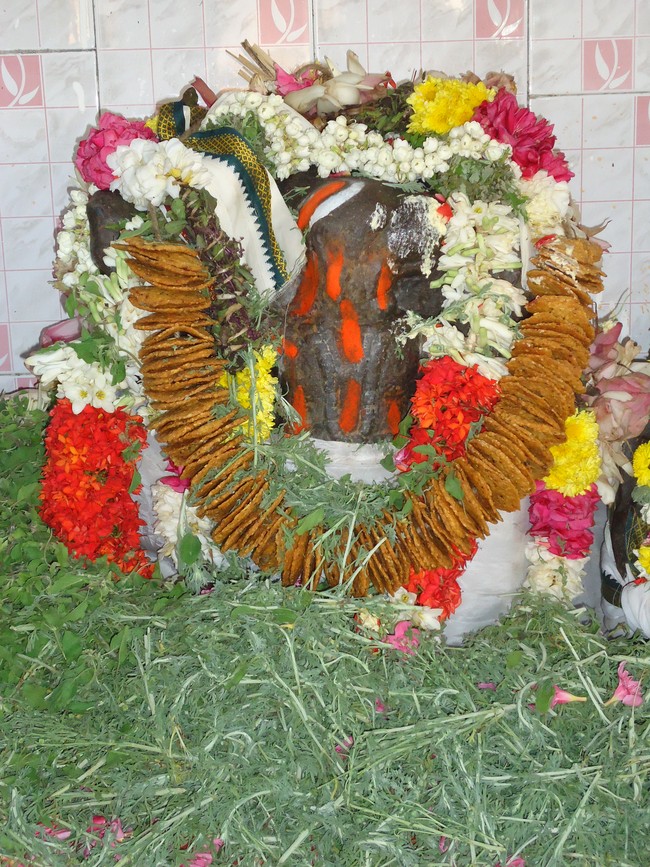 Srirangam THiruvadi Kovil Anjaneyar Pradhishtapana Dhinam 2015 -19