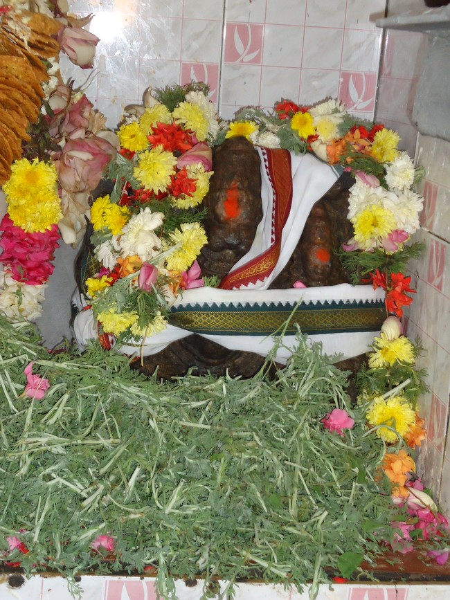 Srirangam THiruvadi Kovil Anjaneyar Pradhishtapana Dhinam 2015 -20