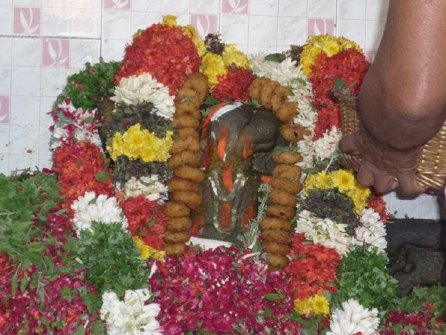 Srirangam Thiruvadi Anjaneyar Temple Thirumanjanam 2015 -02
