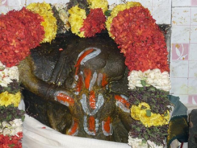 Srirangam Thiruvadi Anjaneyar Temple Thirumanjanam 2015 -15