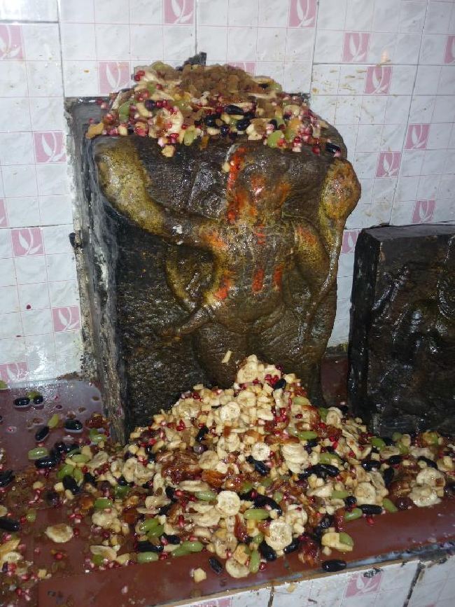 Srirangam Thiruvadi Anjaneyar Temple Thirumanjanam 2015 -34