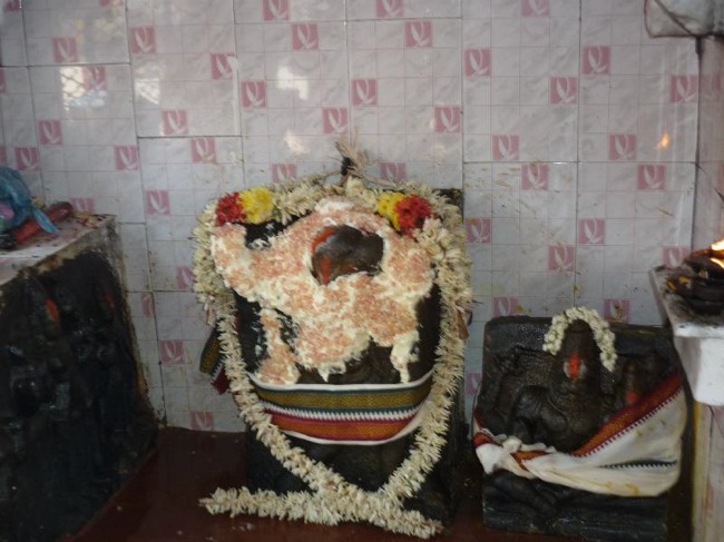 Srirangam Thiruvadi anjaneyar Vidayatri Utsavam -2015-07