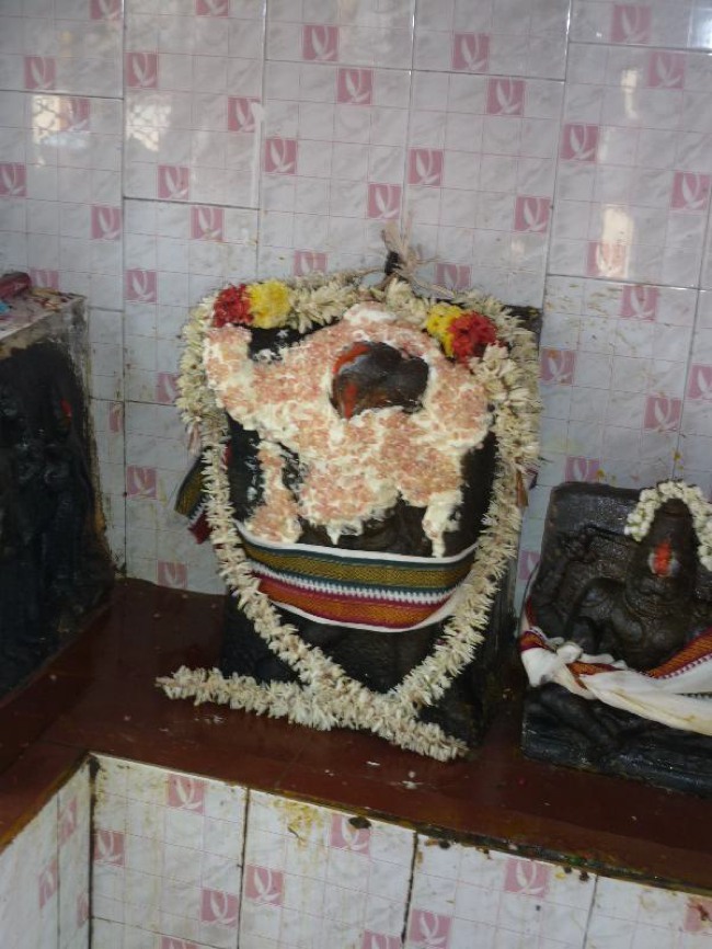 Srirangam Thiruvadi anjaneyar Vidayatri Utsavam -2015-08