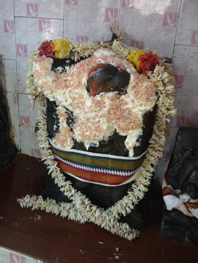 Srirangam Thiruvadi anjaneyar Vidayatri Utsavam -2015-10