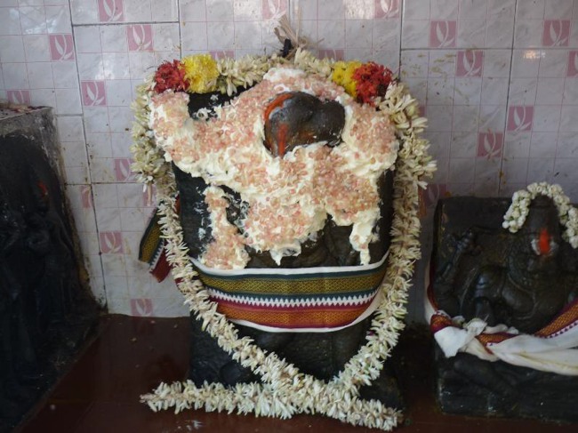 Srirangam Thiruvadi anjaneyar Vidayatri Utsavam -2015-11