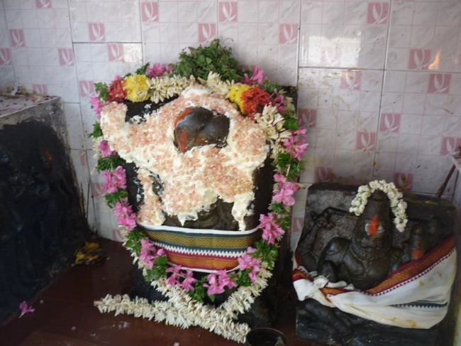 Srirangam Thiruvadi anjaneyar Vidayatri Utsavam -2015-14